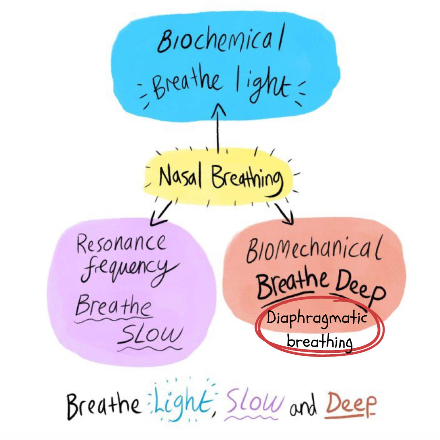 7-Day Breathing Workshop (Workshop Only) - Image 3